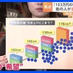 103万円の壁の引き上げに関して　ひるおび　の報道内容が悪質⁉