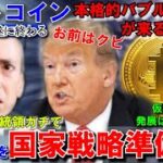 アメリカやブラジル、暗号資産（ビットコイン）政府準備金構想